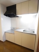 キッチン Ｐａｒｆａｉｔ　Ｉｎｏｕｅ