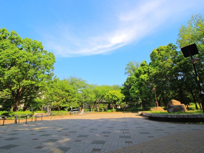 光が丘公園(公園)まで642m 旭ハウス