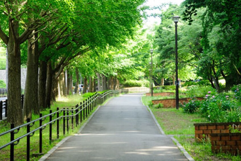 県立保土ケ谷公園(公園)まで616m タウンハイツ富士見