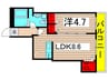 ホワイトコート 1LDKの間取り