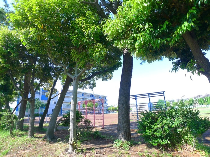 高洲第三小学校(小学校)まで209m 高洲三丁目住宅１１号棟(303)