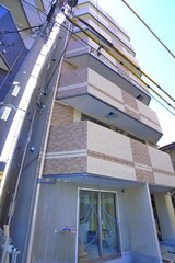 チェリーブロッサム