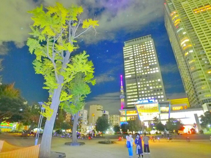 錦糸公園(公園)まで428m モンシェ－ル錦糸町二番館