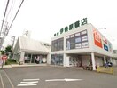 伊勢原書店 秦野店(本屋)まで421m リバ－サイドハイツ