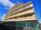 プレシス新所沢ブライス（105）の外観