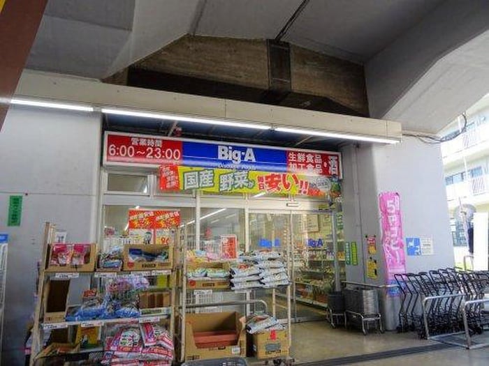 Big-A(スーパー)まで408m グリーンヒルＢ
