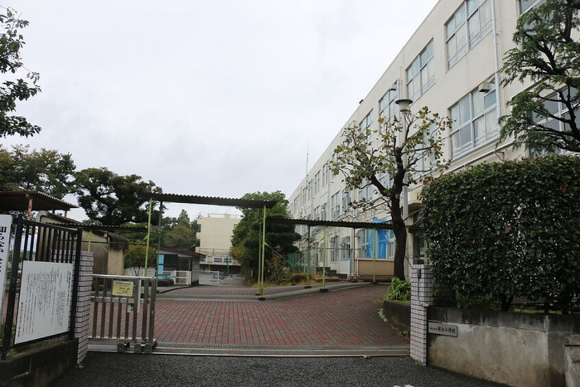 桜台小学校(小学校)まで100m 桜ケ丘マンション