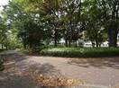 市民の森スポーツ公園(公園)まで700m 山田屋荘