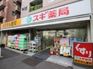 スギ薬局白山通り店(ドラッグストア)まで250m リビオレゾン小石川(304)