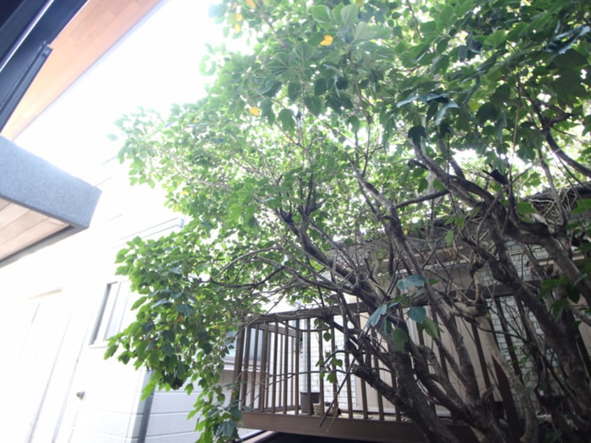 室内からの展望 trias226