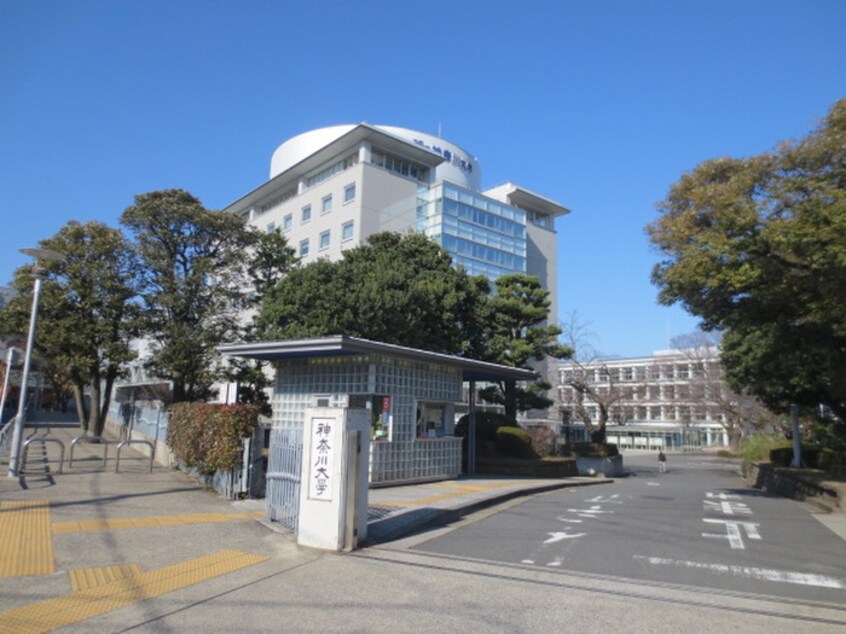 神奈川大学(大学/短大/専門学校)まで577m メゾン・ド東白楽