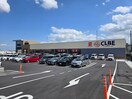 クルベ　北入曽店(スーパー)まで750m ティーズアベニュー