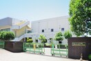 三鷹市立羽沢小学校(小学校)まで392m コ－ポサンリバ－