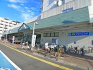 マルエツ(スーパー)まで823m レストハウス富士見