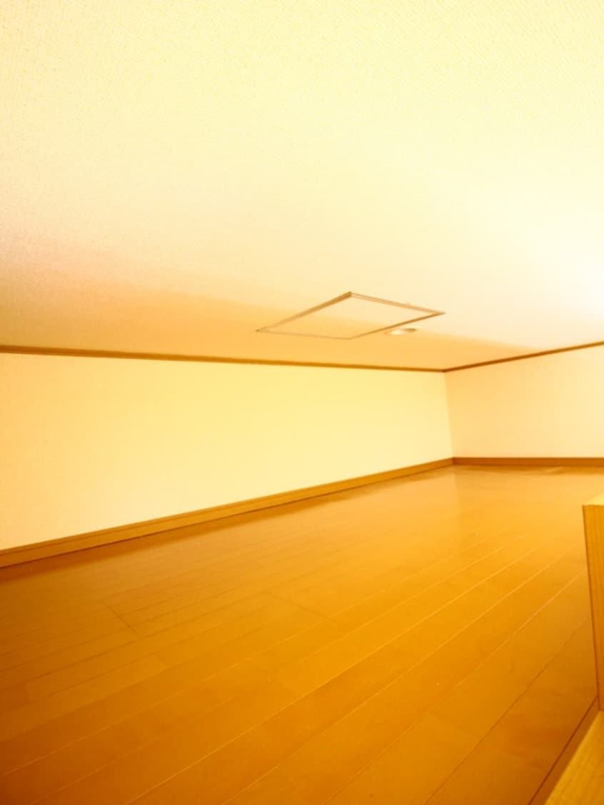 ロフト ミラノシティ中央林間