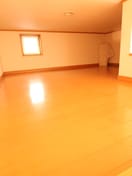 ロフト ミラノシティ中央林間