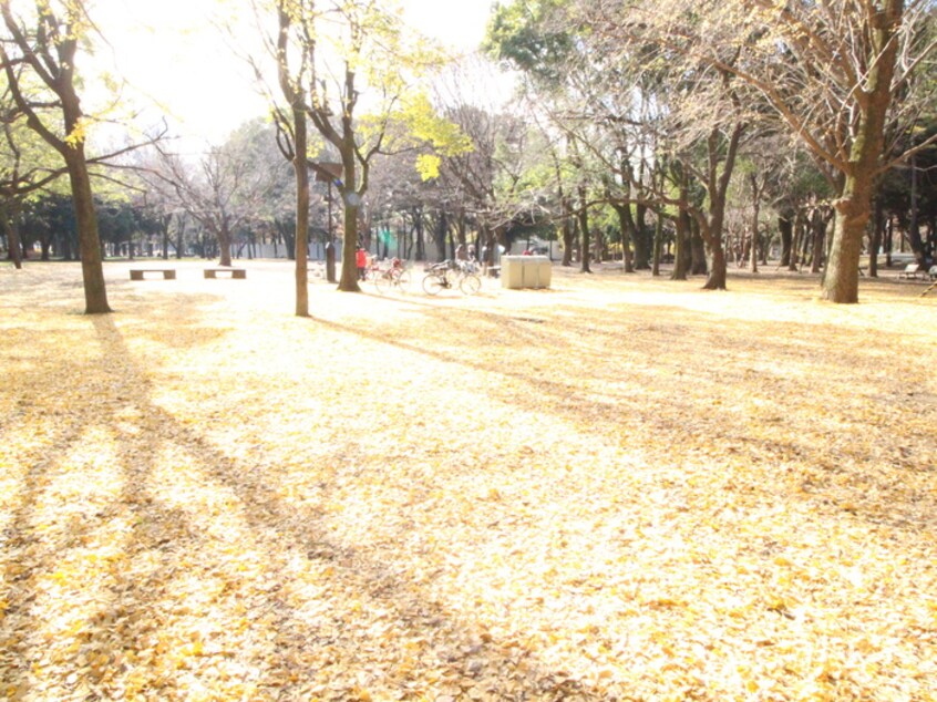 都立蘆花公園(公園)まで300m 睦巳マンション