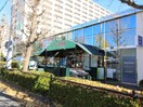 スーパー生鮮館ＴＡＩＧＡ座間店(スーパー)まで230m 須賀第1ビル