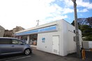 ローソン 川崎野川店(コンビニ)まで877m 和田ハイム