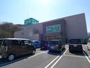 ニトリ成増店(電気量販店/ホームセンター)まで936m ディアハウス