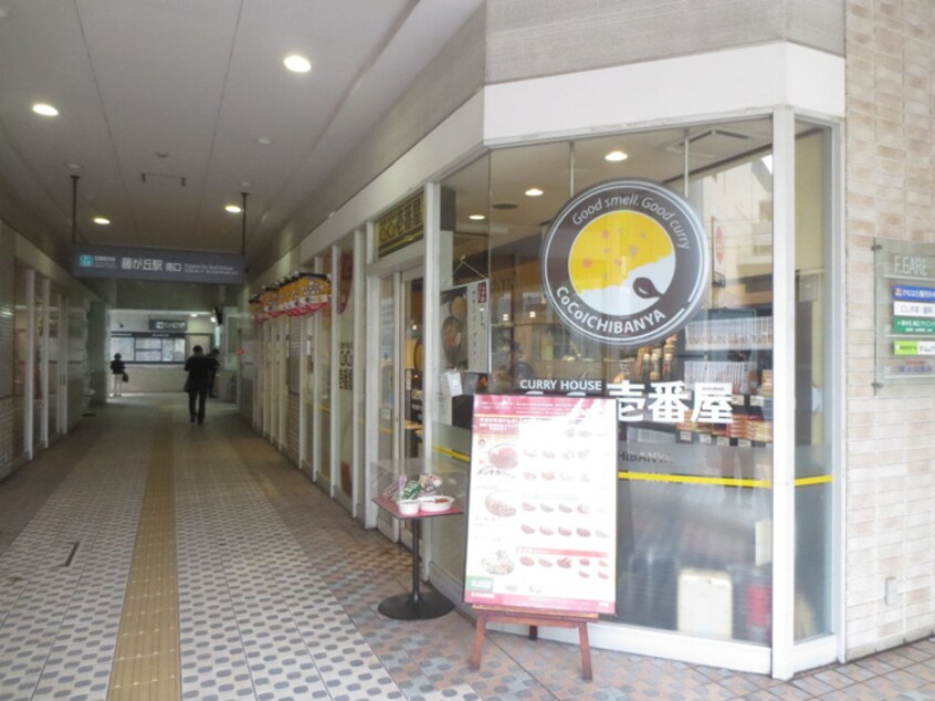 CoCo壱番屋 東急藤が丘駅前店(ファストフード)まで636m 梅が丘グリーン・フラット