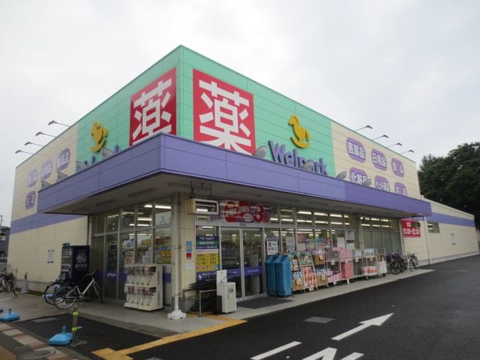 ウェルパーク(ドラッグストア)まで177m エクセル・フラット