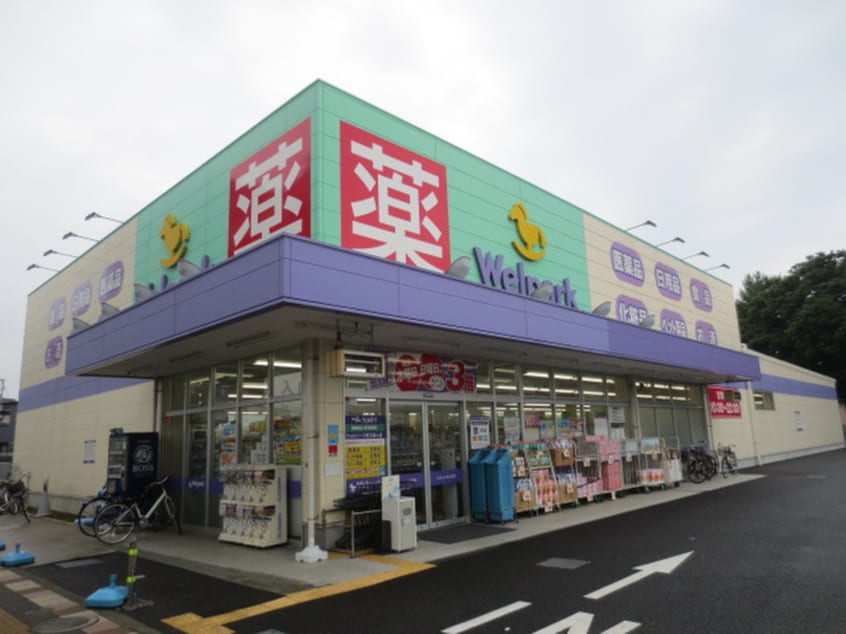 ウェルパーク(ドラッグストア)まで177m エクセル・フラット