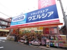 ウエルシア氷川台駅前店(ドラッグストア)まで355m コ－ポパピヨン