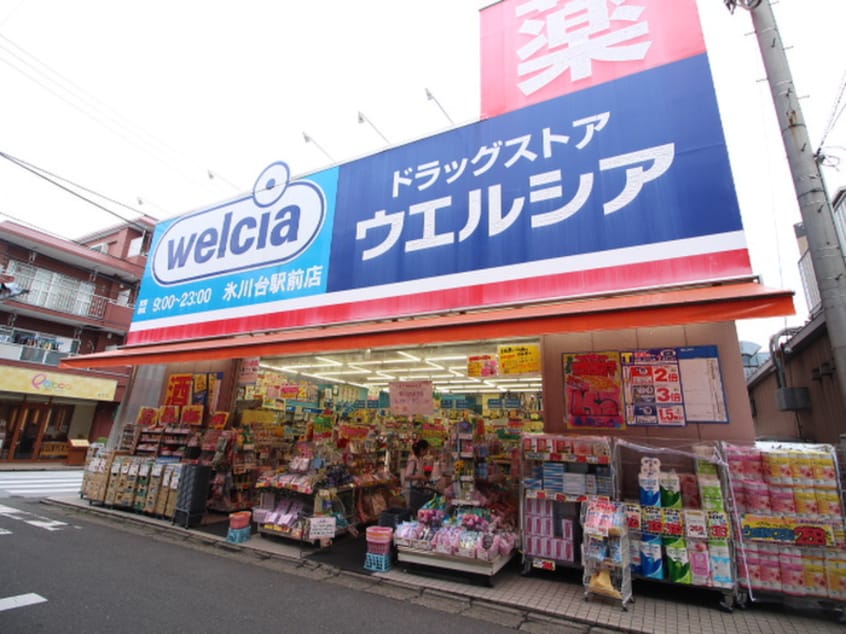 ウエルシア氷川台駅前店(ドラッグストア)まで355m コ－ポパピヨン