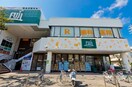 fuji大船店(スーパー)まで250m 第二大船ハイツ