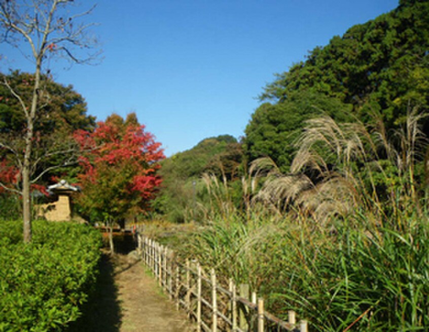 鎌倉中央公園(公園)まで1600m 第二大船ハイツ