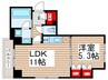 パークアクシス錦糸町ヴェール 1LDKの間取り