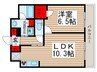 エスティメゾン大島 1LDKの間取り