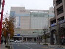 マルイファミリー志木(デパート)まで1381m コ－ポ榎本