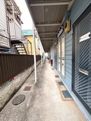 その他 ルミナス・N
