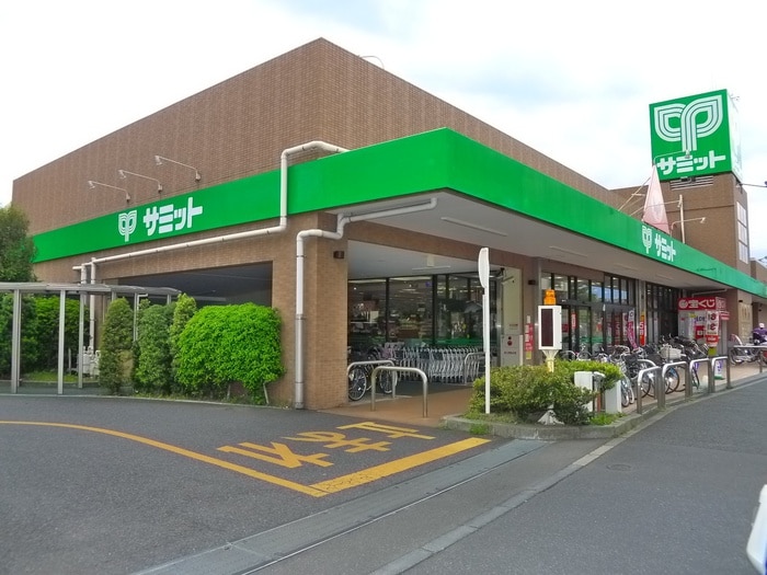 サミット(スーパー)まで354m ルミナス・N