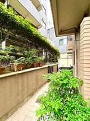 その他 グロ－リ－武山