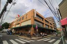 コモディイイダ　東新町店(スーパー)まで409m 川田マンション