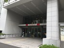 原宿警察署(警察署/交番)まで470m ル－ブル神宮前