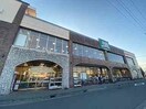 富士シティオ 寒川店(スーパー)まで213m ＷＯＯＤ　ＶＩＬＬＡＧＥ