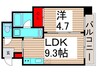 プレジオ亀有 1LDKの間取り