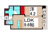 仮)プレジオ亀有 1LDKの間取り