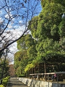 江戸川公園(公園)まで300m 杉本ビル