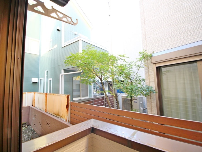 室内からの展望 コスモヤヨイ