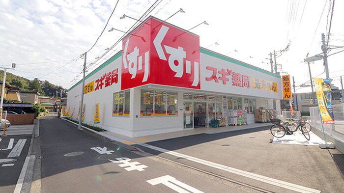 スギドラック飯島町店(ドラッグストア)まで1000m 飯島貸家