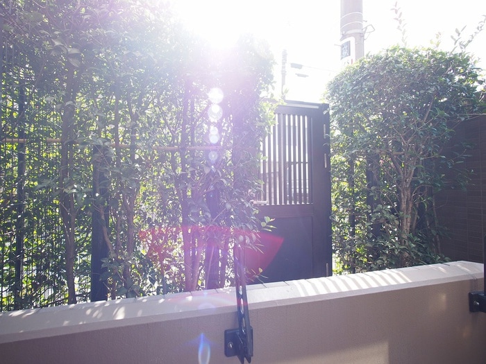 室内からの展望 ﾌｪﾆｯｸｽ武蔵関弐番館（101）