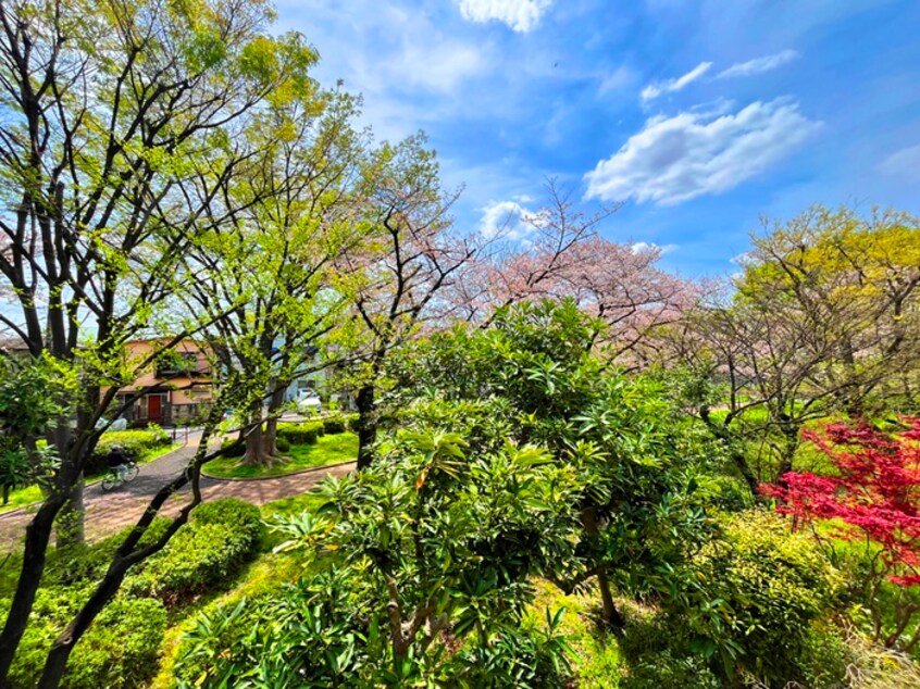 室内からの展望 西新井平和荘