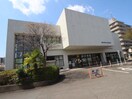 市立図書館(図書館)まで415m メイプル・ハイツ