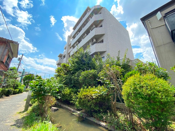 外観写真 グリ－ンプラザ東綾瀬Ⅲ(３０５)