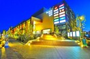 テラスモール松戸(ショッピングセンター/アウトレットモール)まで799m 新松戸ライトフラッツ